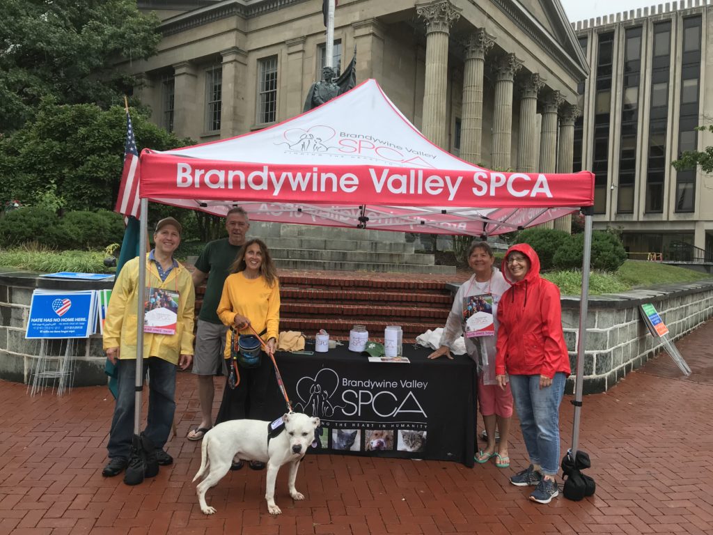 CANNING FOR BRANDYWINE VALLEY SPCA CHESTER COUNTY PEACE MOVEMENT